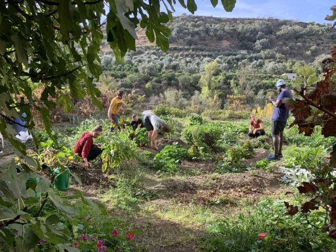 People in a garden or green space — A group of practitioners working together in an outdoor green environment.